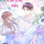 CÔ ẤY VÀ BÔNG HỒNG TRẮNG